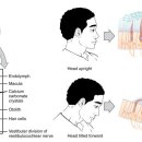 빛한의원 이미지