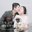 참마트 | [포항] 문덕 애견동반 가능한 셀프웨딩스튜디오 흑백일기 후기(포항사진관)
