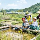 도란도란부동산중개 이미지