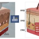 코앤유의원 이미지