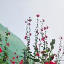 종환농장 이미지