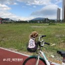 [창원애견동반] 창원 지역 애견동반 리스트 공유합니다❤️
