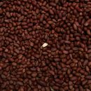 휘트니스 트리 이미지