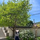 미술관 / 계열사 / 묘한빵집 / 클럽에스프레소 / 윤동주 시인의 언덕 / 인왕산 숲속쉼터 / 청운문학도서관