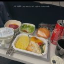 대한밧데리 | 대한항공 인천 ➔ 프라하 직항 후기부터 자리 기내식 꿀팁 총정리