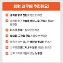 십자의료기 | [내돈내산] 슬개골 관리템 <시리어스펫 슬개골 따땃망토>