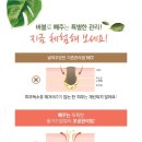 올가뷰티송천