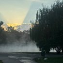 건국식당 | [ 여행 후기 ] : 유럽 DAY13_뜨끈하게 여유롭게...세체니온천/젤라또로사/까마귀식당/민족박물관공원)