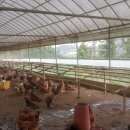 행복한휴식 이미지