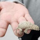 연지매장 이미지