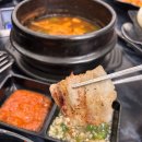 고기가조아 이미지