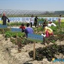 김종현 농장 이미지