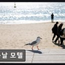 봄날모텔 | 수영역 조용한 모텔 봄날 모텔 교통과 청결 모두 만족