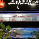 스타크랩