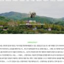 폴리민박 이미지