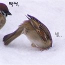 방앗간집 - 광산구 첨단월봉로 96 | 방앗간집