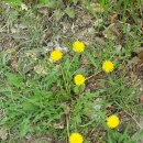 종합운동장(골프장) 이미지