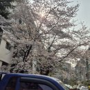 주공분식 - 노원구 노원로 532 | 주공분식
