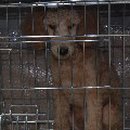 서호지구대 이미지