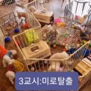 개병 화장실 네이버블로그