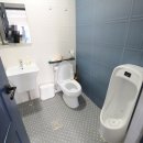 유성애견호텔 이미지