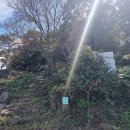 애월읍 소길리풋감마을 이미지