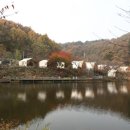 숲속앤정원 이미지