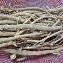 종근목장 이미지