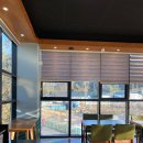 개떼월드 이미지