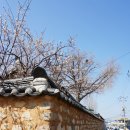 지품면사무소 | 영덕 가볼만한곳 : 영해부관아