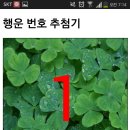 일분컷