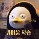 신사보쌈