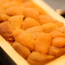 성게돌