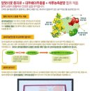 뷰티벨