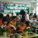 대진초등학교 이미지