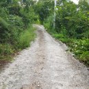 솔미축사 이미지