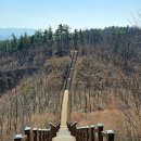 봉무공원 만보산책로 이미지