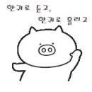 킹콩과일