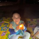 데이밤