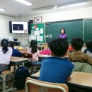 고실초등학교 Daum카페