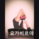 요가비르야 이미지