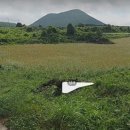 덕송부동산중개사무소 이미지