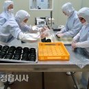 법인샘실