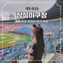 잠실야구장 먹거리 티켓 예매 주차 좌석 뷰 추천