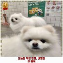 탑마을주공8단지.중앙도서관 이미지