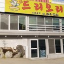 복드리오리 이미지