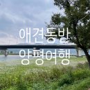 또오개 | [쿵푸푸log] 양평 애견동반여행 /또오개 애견펜션/두물머리/핫도그