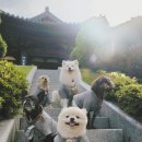 스테이 무아 이미지