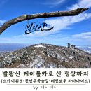 풍산프라자 개방화장실 | 발왕산 정상까지 케이블카로 한 번에 | 스카이워크·천년 주목 숲길·레인보우 파라다이스 후기