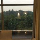 얼레이(ALLEE) 이미지